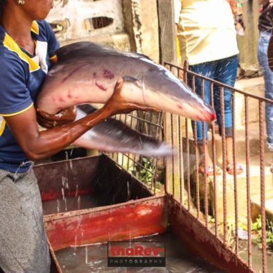 Epe Fish Market