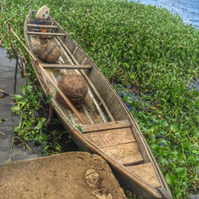 Epe Fish Market